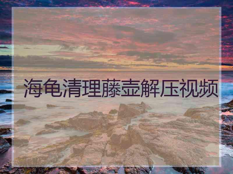 海龟清理藤壶解压视频