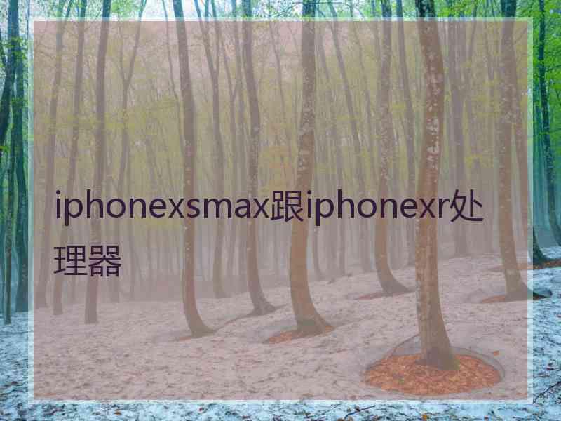 iphonexsmax跟iphonexr处理器