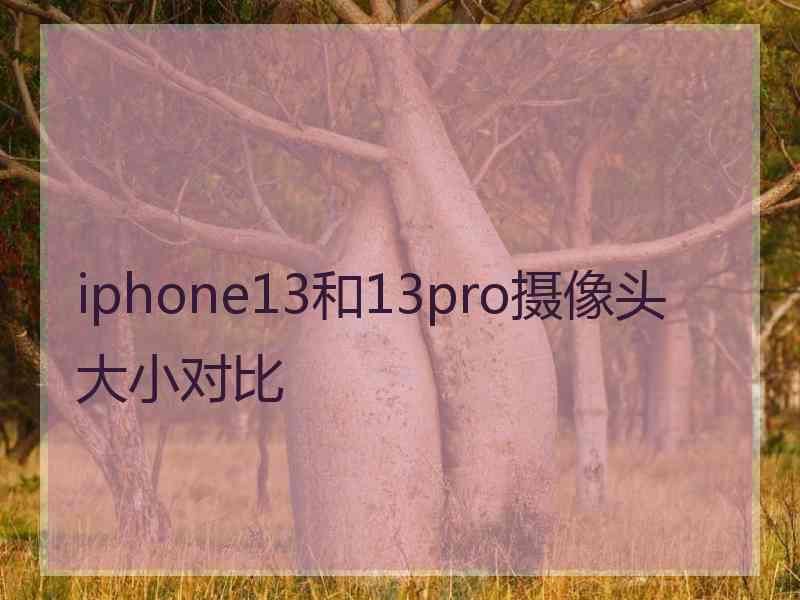 iphone13和13pro摄像头大小对比