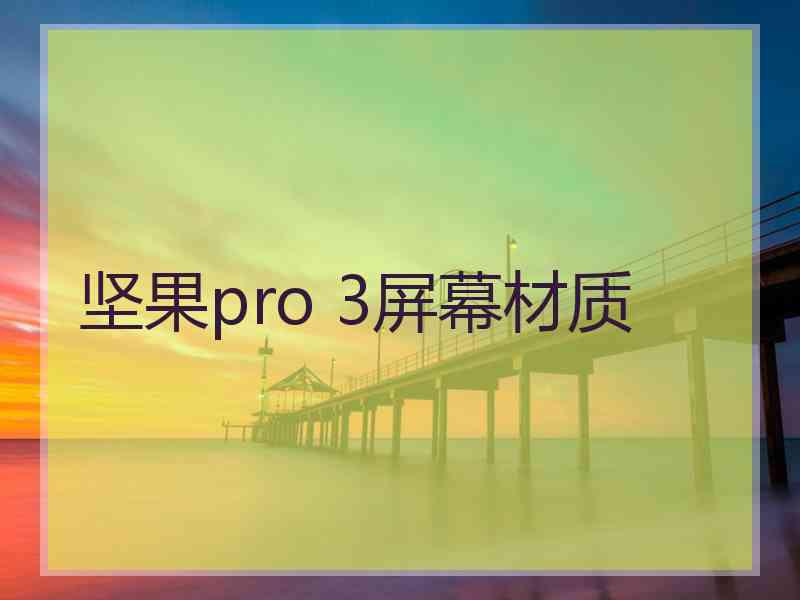 坚果pro 3屏幕材质