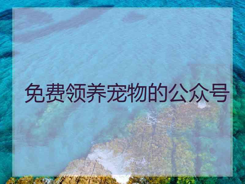 免费领养宠物的公众号