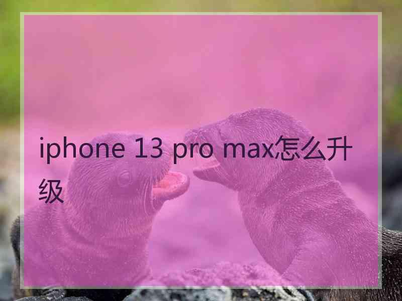 iphone 13 pro max怎么升级