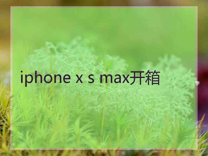 iphone x s max开箱