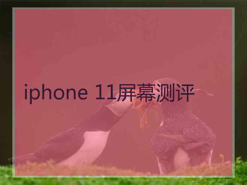 iphone 11屏幕测评