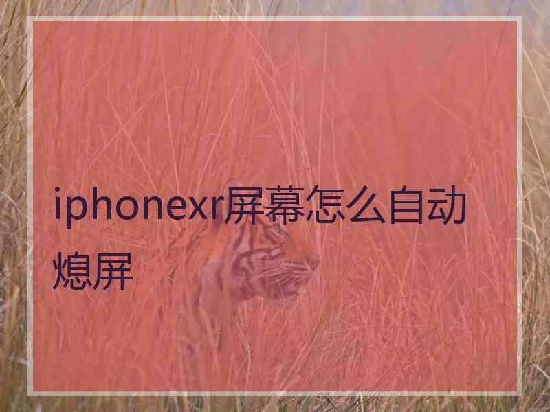 iphonexr屏幕怎么自动熄屏