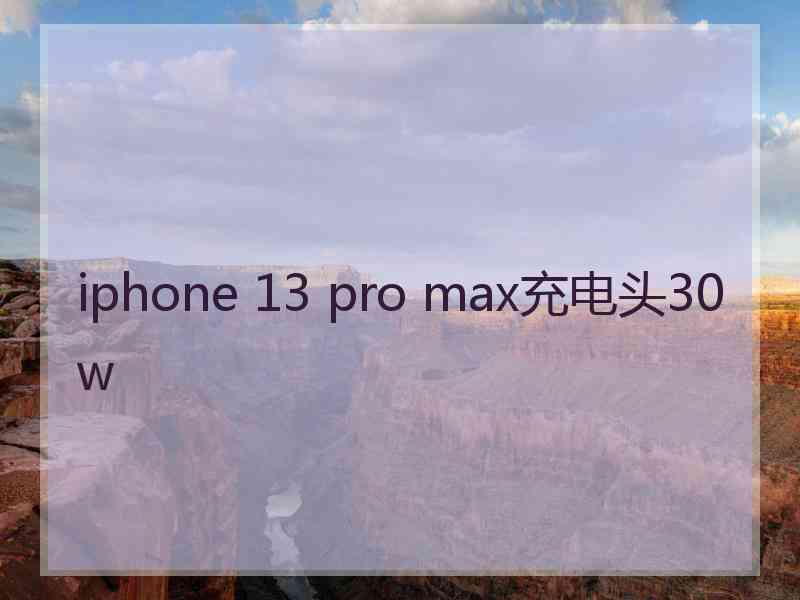 iphone 13 pro max充电头30w