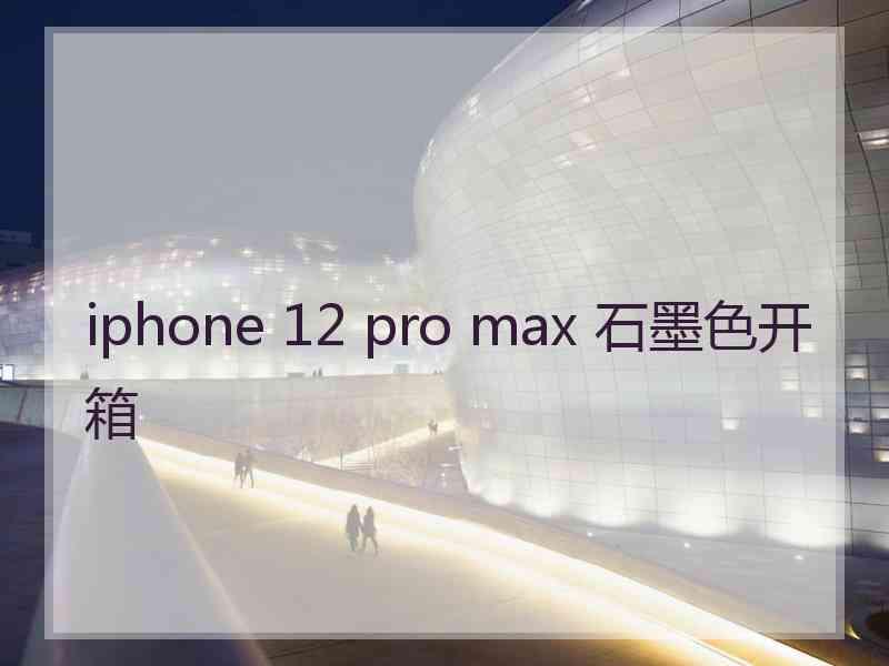 iphone 12 pro max 石墨色开箱