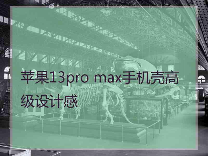 苹果13pro max手机壳高级设计感