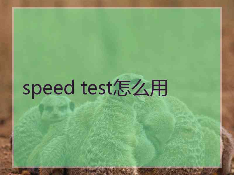 speed test怎么用