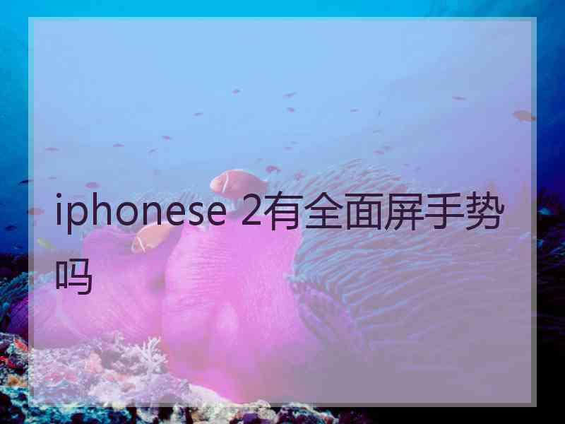 iphonese 2有全面屏手势吗