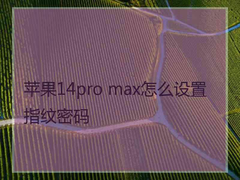 苹果14pro max怎么设置指纹密码