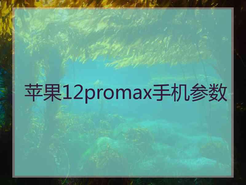 苹果12promax手机参数