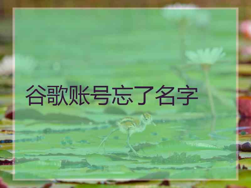 谷歌账号忘了名字