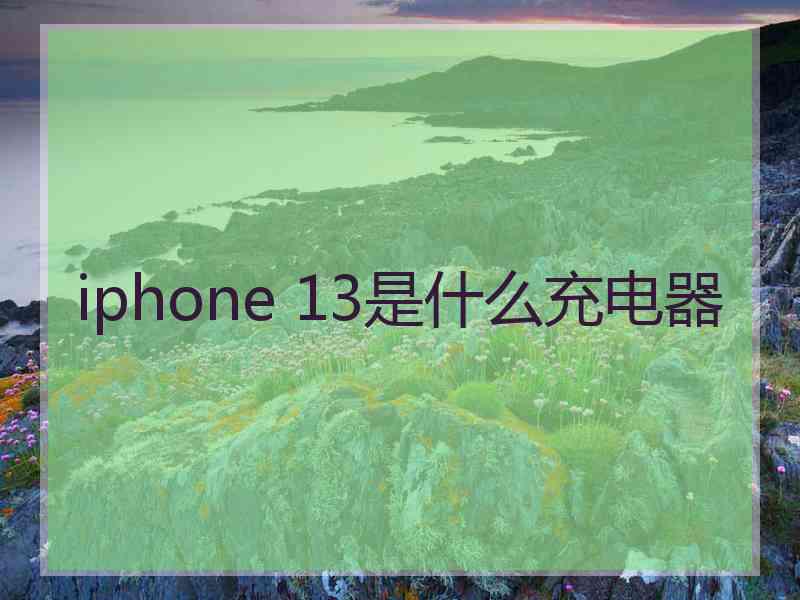 iphone 13是什么充电器