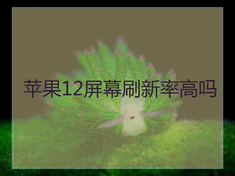 苹果12屏幕刷新率高吗