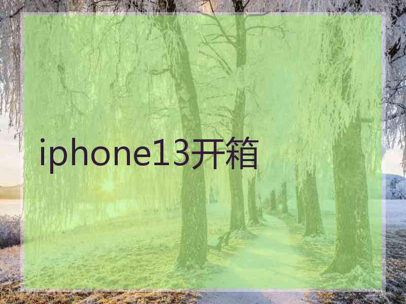 iphone13开箱