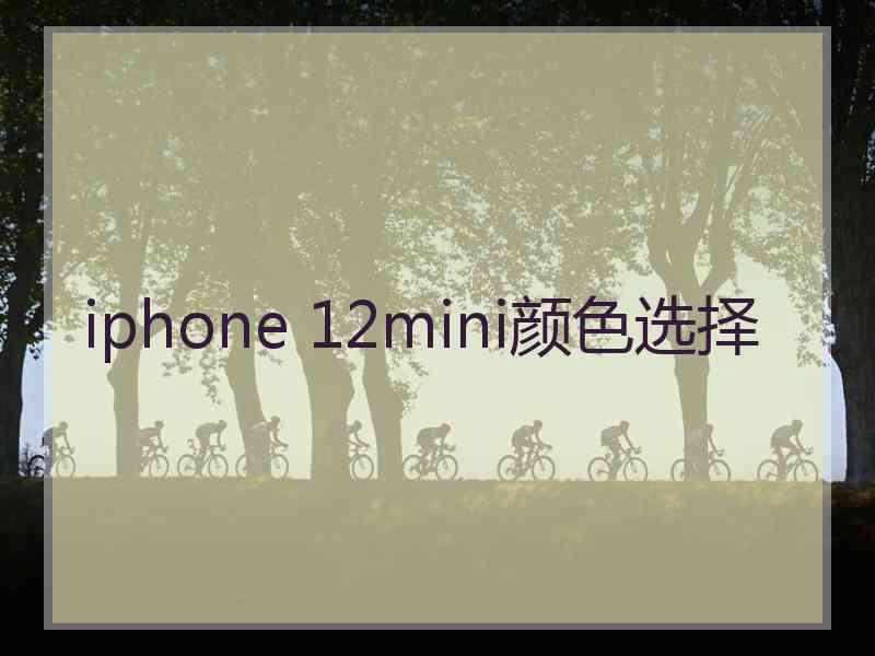 iphone 12mini颜色选择