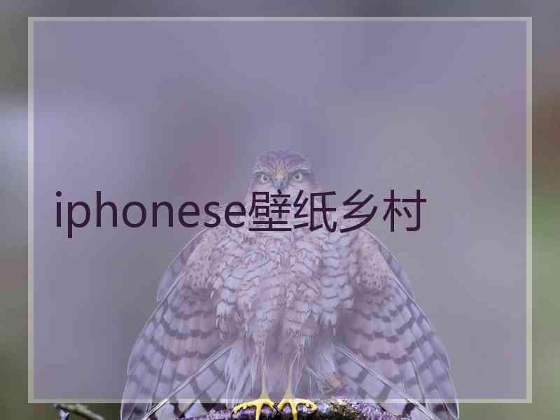 iphonese壁纸乡村