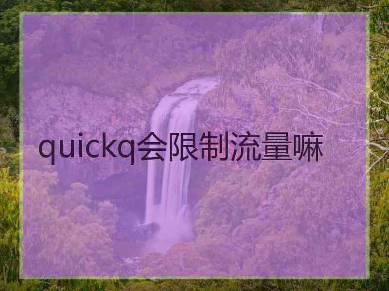 quickq会限制流量嘛