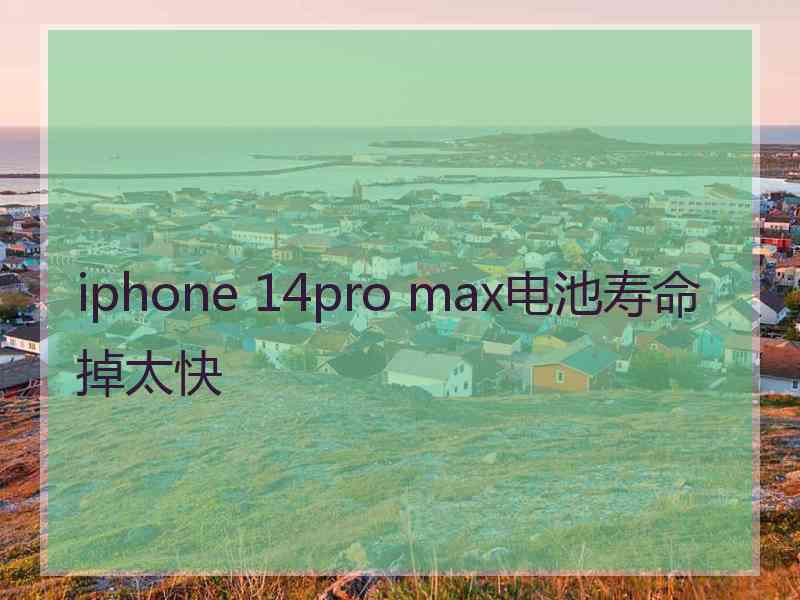 iphone 14pro max电池寿命掉太快