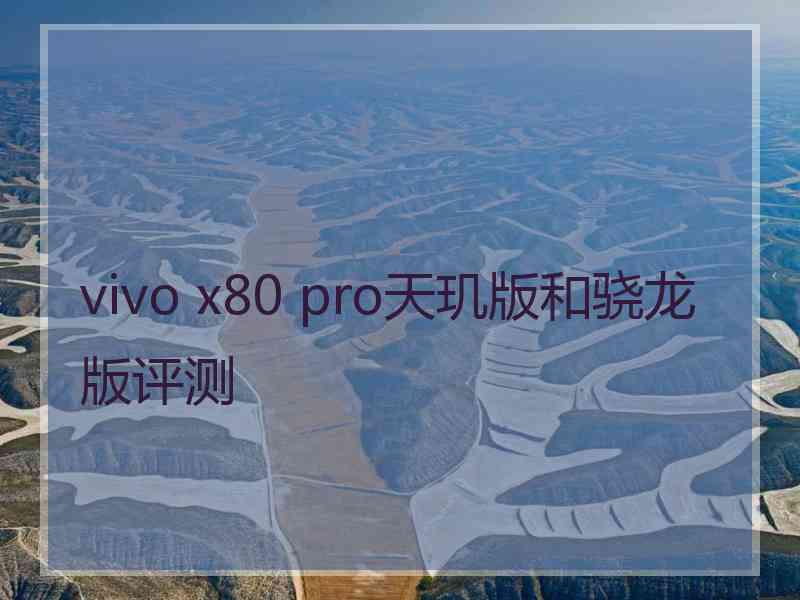 vivo x80 pro天玑版和骁龙版评测