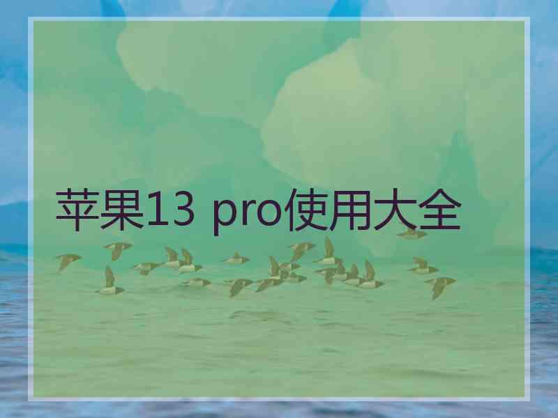 苹果13 pro使用大全