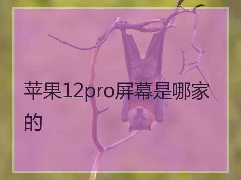 苹果12pro屏幕是哪家的