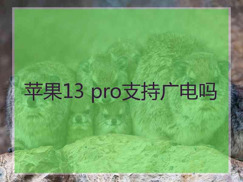 苹果13 pro支持广电吗