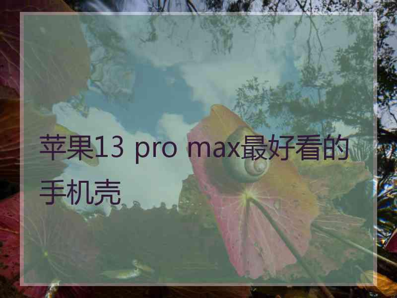 苹果13 pro max最好看的手机壳