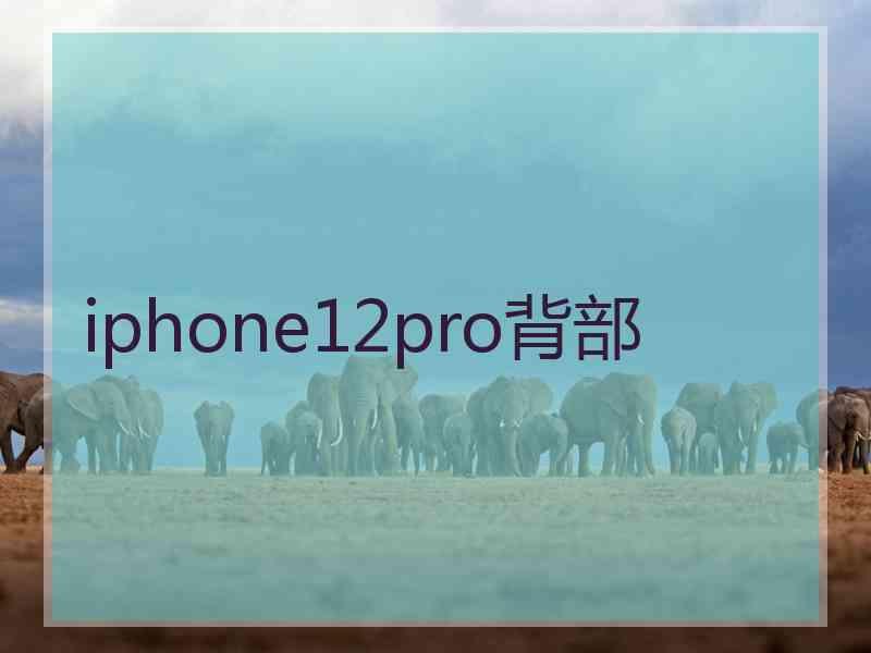 iphone12pro背部