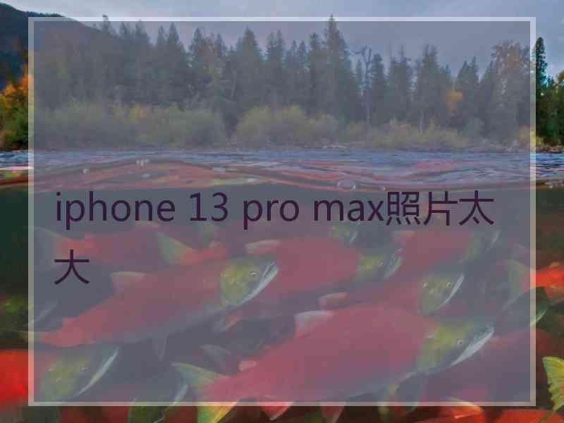 iphone 13 pro max照片太大