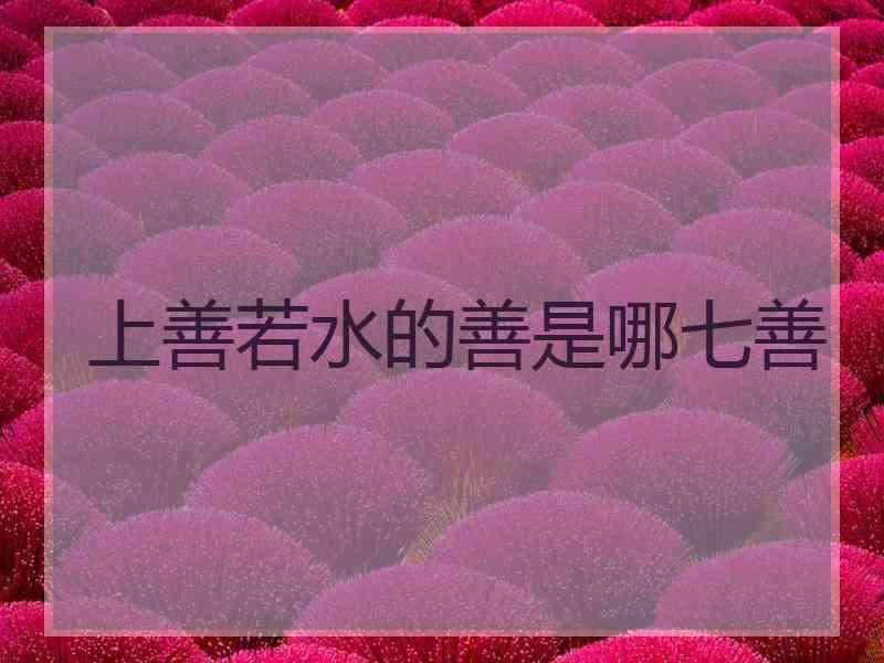 上善若水的善是哪七善