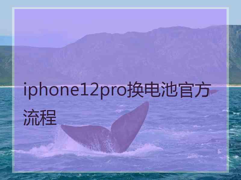 iphone12pro换电池官方流程