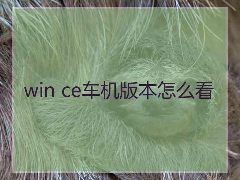 win ce车机版本怎么看