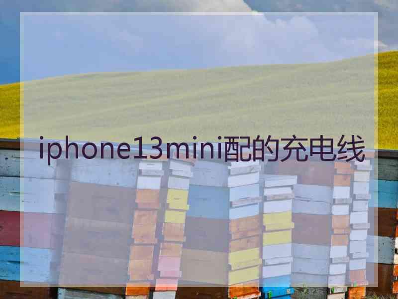 iphone13mini配的充电线