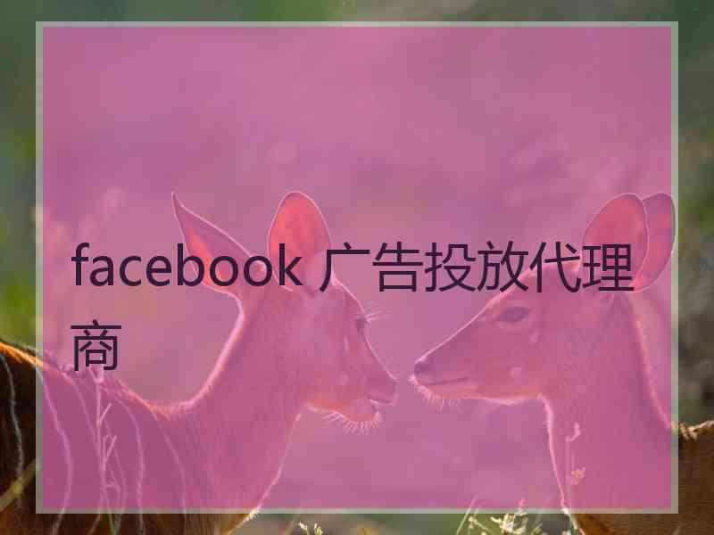 facebook 广告投放代理商