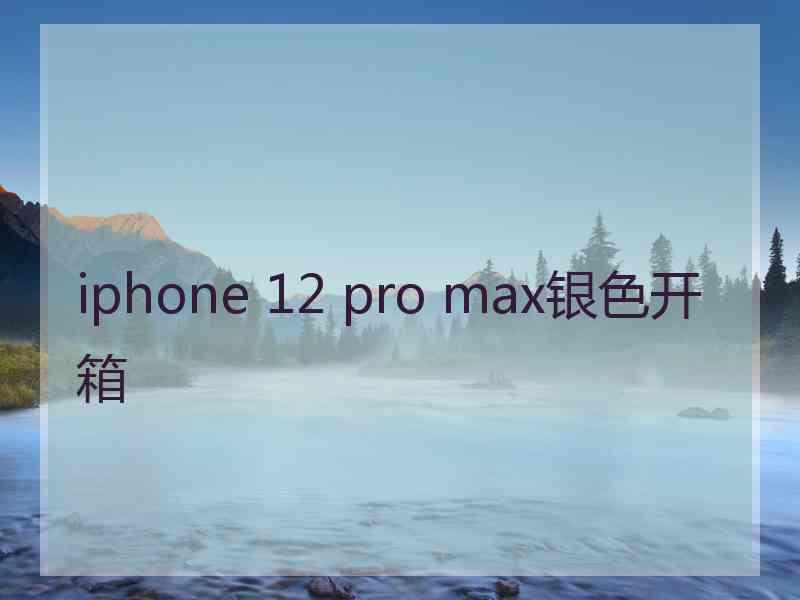 iphone 12 pro max银色开箱