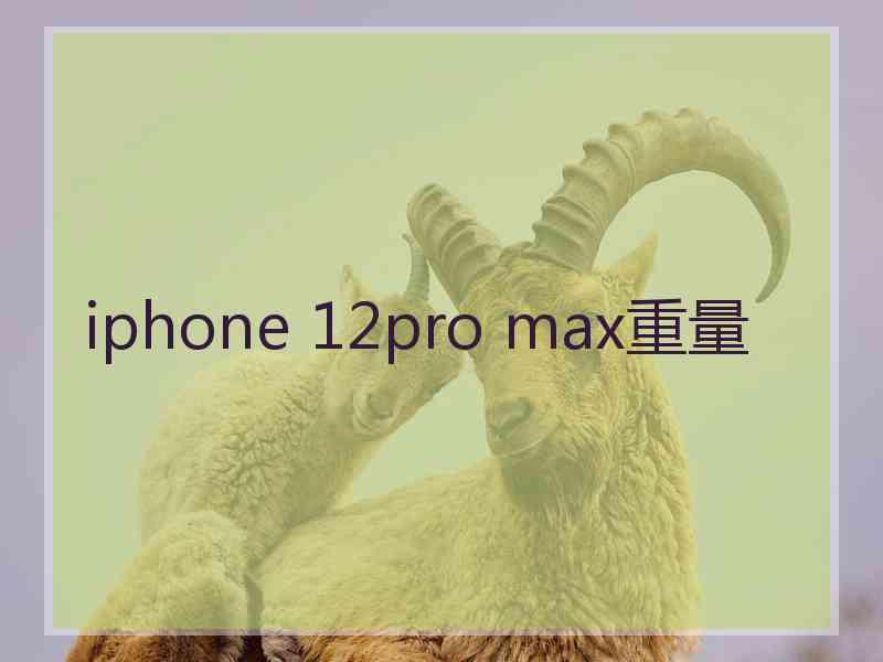 iphone 12pro max重量