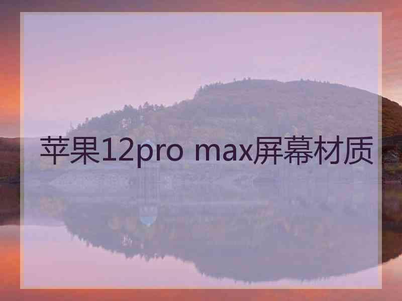 苹果12pro max屏幕材质