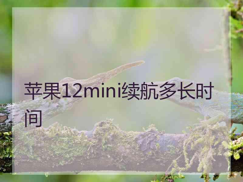 苹果12mini续航多长时间