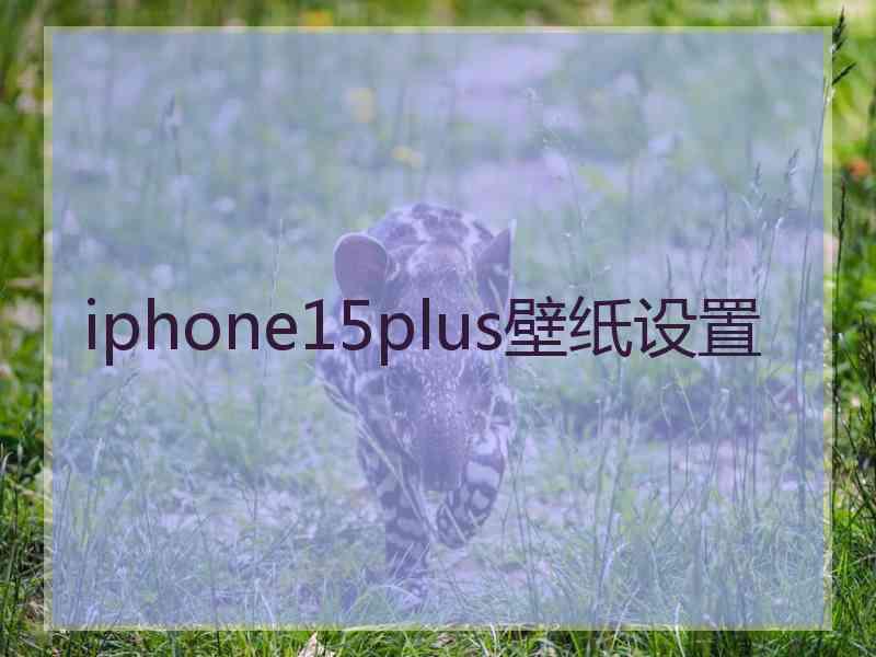 iphone15plus壁纸设置