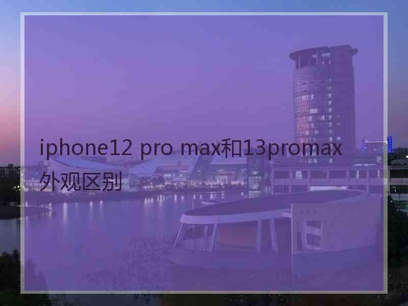 iphone12 pro max和13promax外观区别