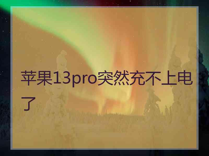 苹果13pro突然充不上电了