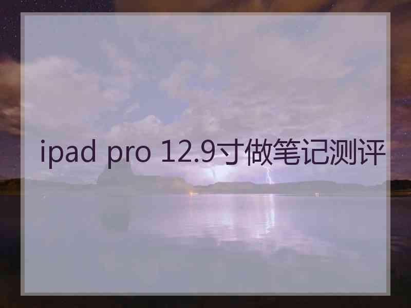 ipad pro 12.9寸做笔记测评