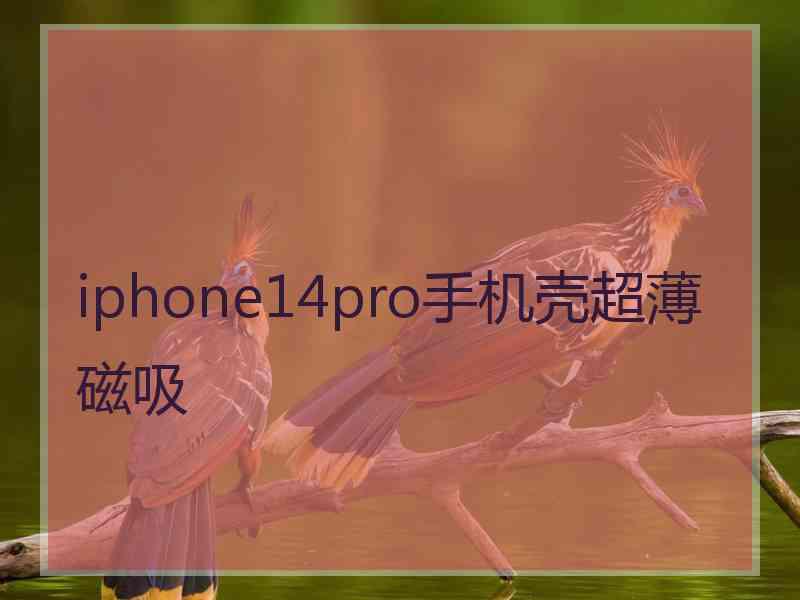 iphone14pro手机壳超薄磁吸