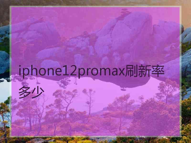 iphone12promax刷新率多少