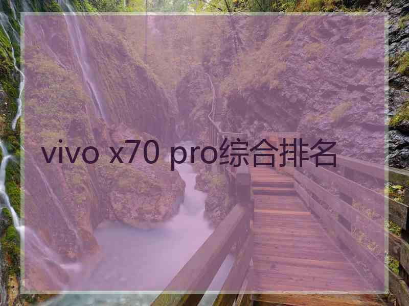 vivo x70 pro综合排名