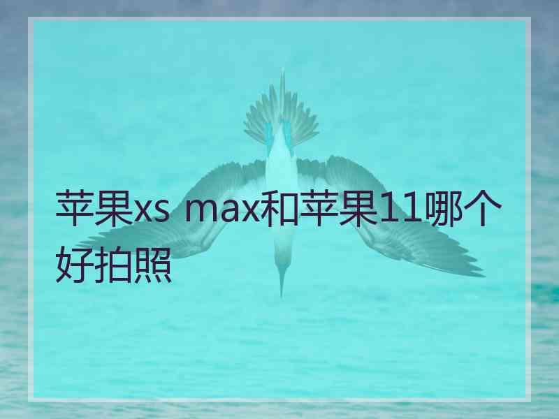 苹果xs max和苹果11哪个好拍照