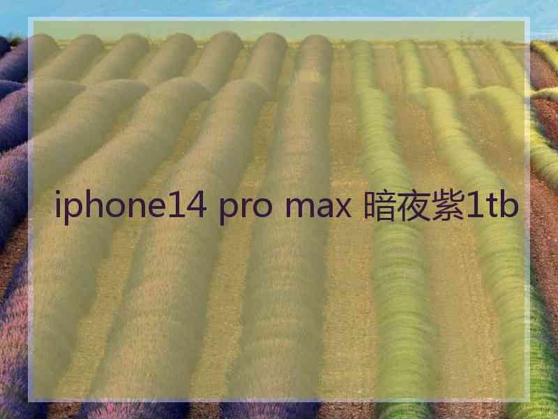 iphone14 pro max 暗夜紫1tb