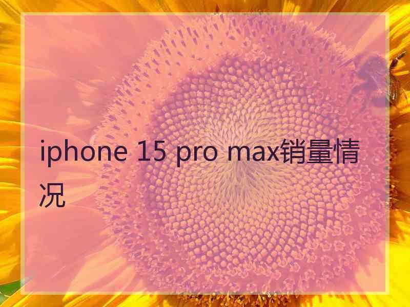 iphone 15 pro max销量情况